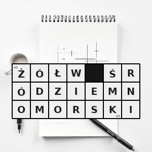 Hasło krzyżówkowe żółw grecki - żółw śródziemnomorski – rozwiązanie, synonimy, podpowiedzi i definicje krzyżówkowe